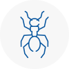 Ant Removals In Wilmalow