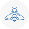 Bee Nest Removal Wilmalow
