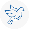 Bird Prevention Wilmalow