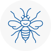 Wilmalow Hornet Nest Removals
