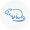 Rat Control Wilmalow