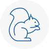 Wilmalow Rodent Removals